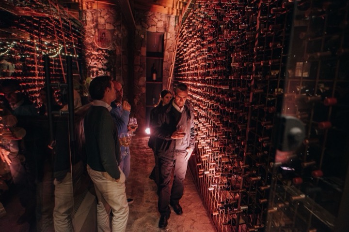 Inauguración Viñedos