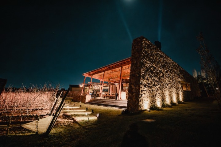 Viñedos de La Tahona