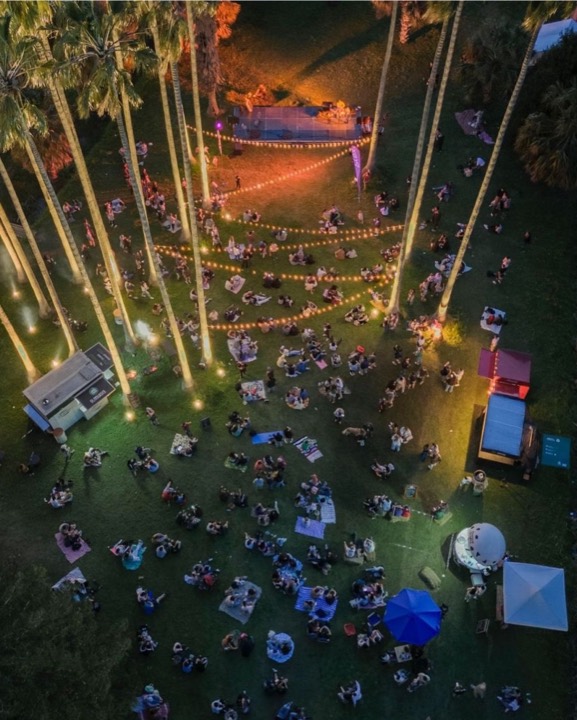 Vista drone nocturna: líneas de guirnaldas sobre picnic masivo